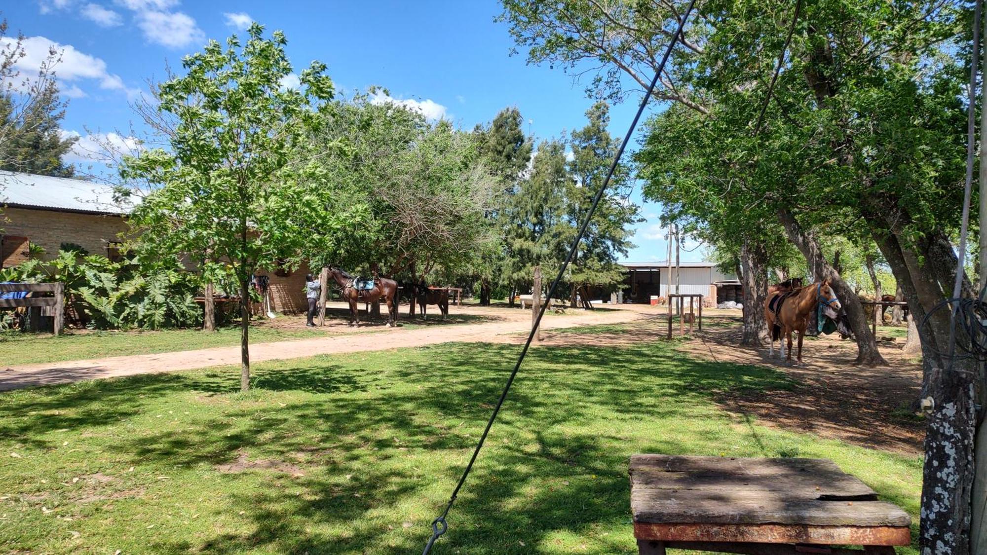 Cabana Rural El Encuentro San Antonio de Areco Δωμάτιο φωτογραφία