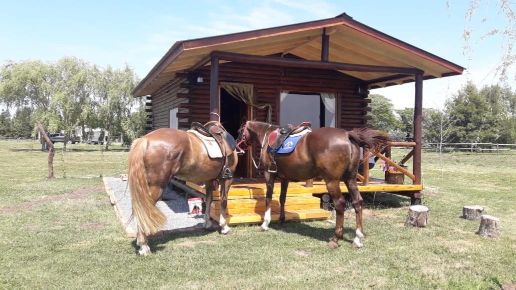 Cabana Rural El Encuentro San Antonio de Areco Εξωτερικό φωτογραφία