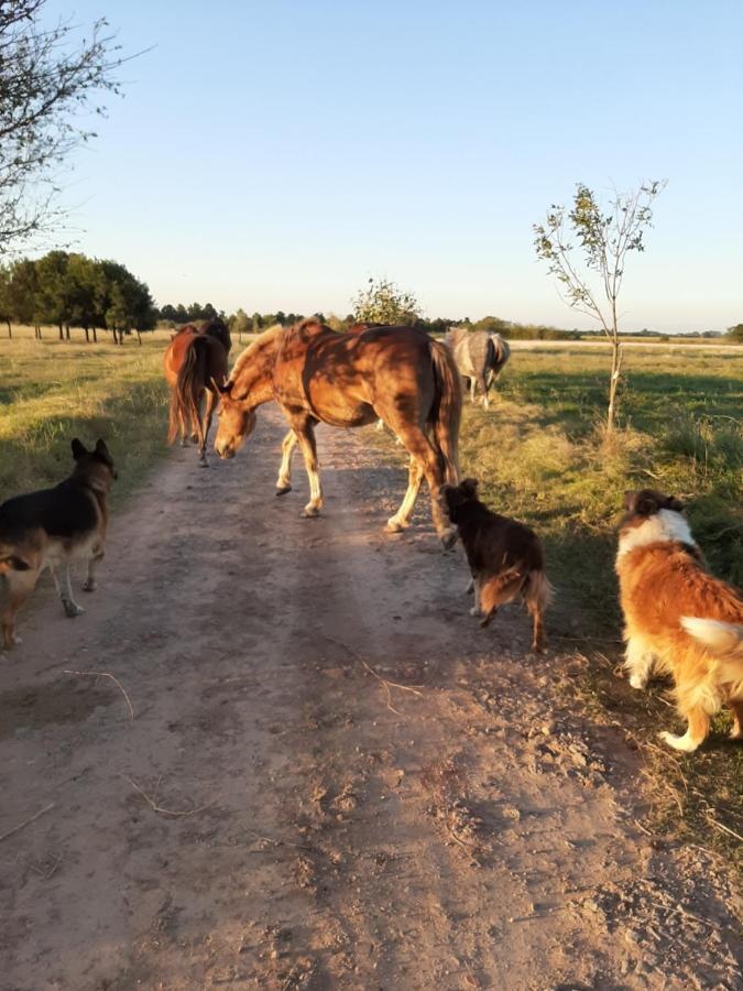 Cabana Rural El Encuentro San Antonio de Areco Εξωτερικό φωτογραφία